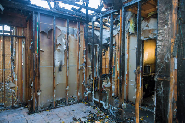 Professional Odor Removal technician working in Michigan City, IN